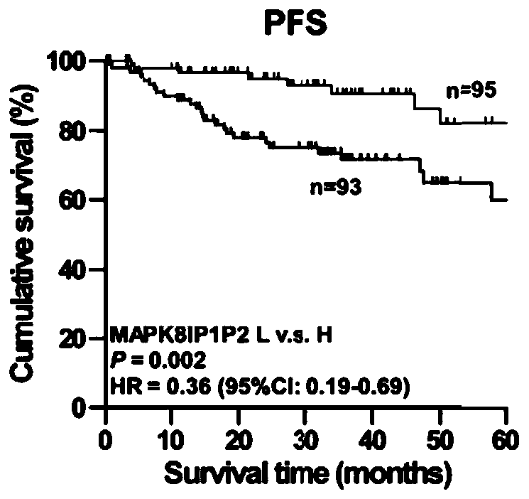 Thyroid cancer diagnosis prognostic marker MAPK8IP1P2 and application thereof