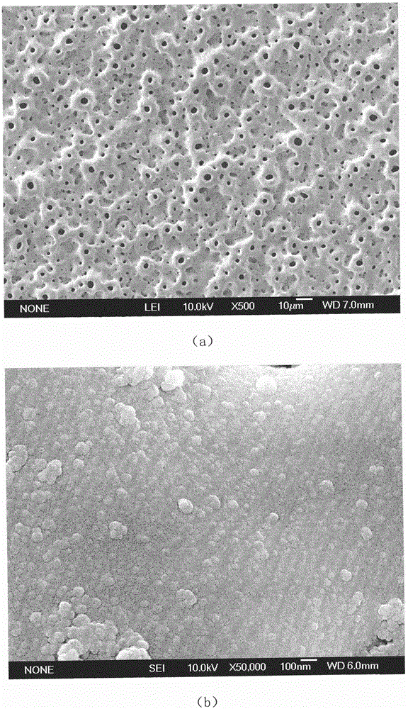 Zinc-doped porous nano-titanium oxide coating and its preparation method