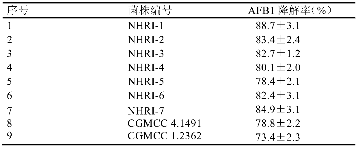 Application of Rhodococcus erythrococcus in degrading aflatoxin b1 in brewing seasoning or its raw materials