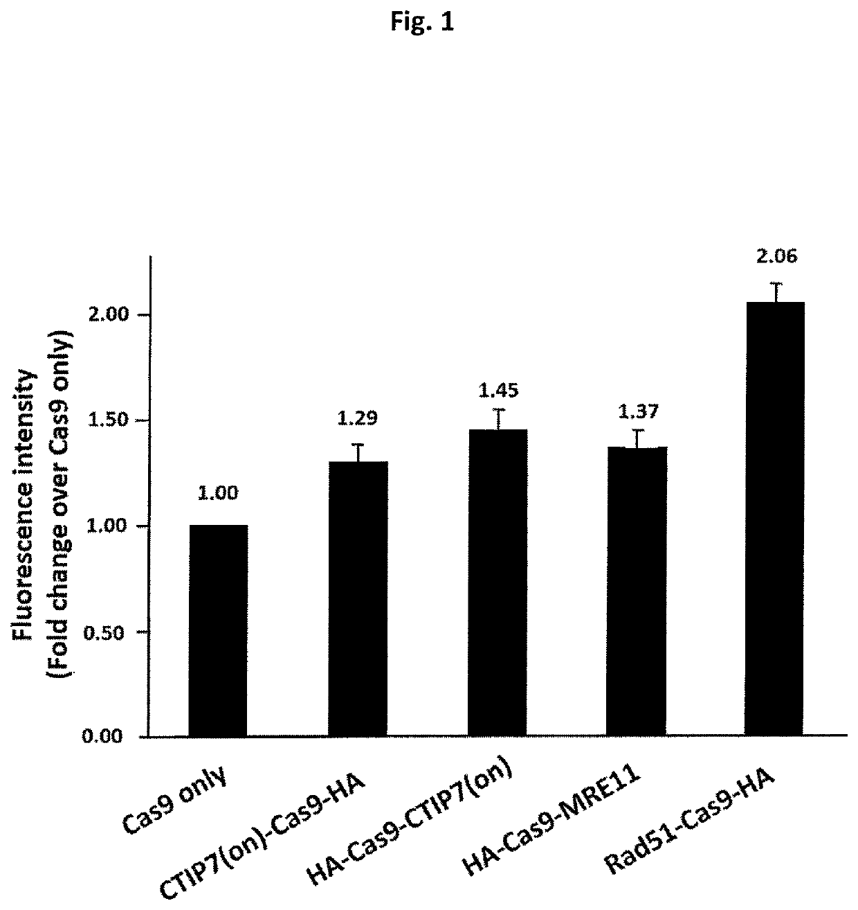 Compositions and methods for promoting homology directed repair mediated gene editing