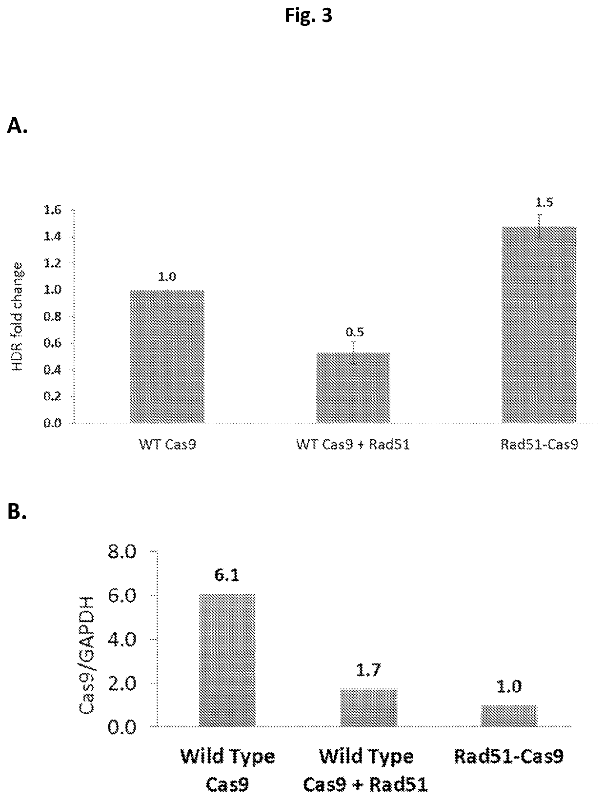 Compositions and methods for promoting homology directed repair mediated gene editing