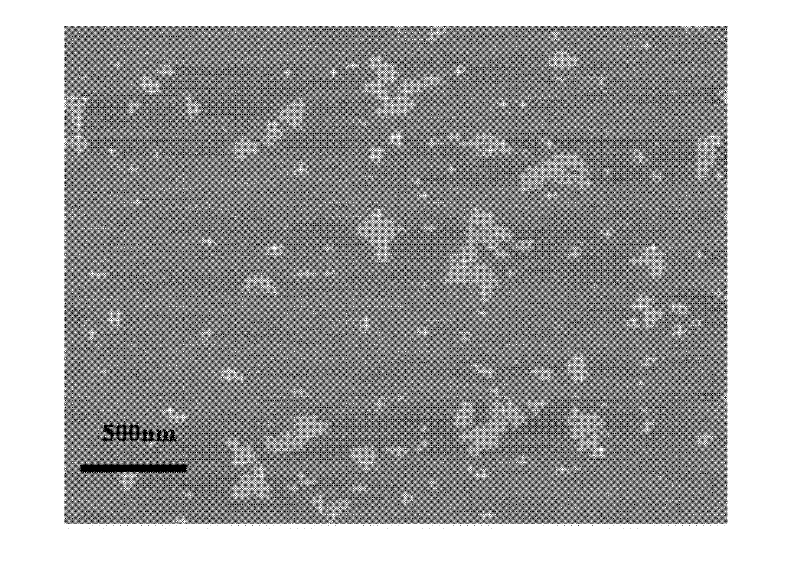 Graphene oxide and sanguinarine compound and preparation method thereof