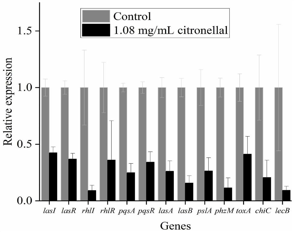 Application of citronellal in preparation of preparation for inhibiting toxicity and pathogenicity of pseudomonas aeruginosa