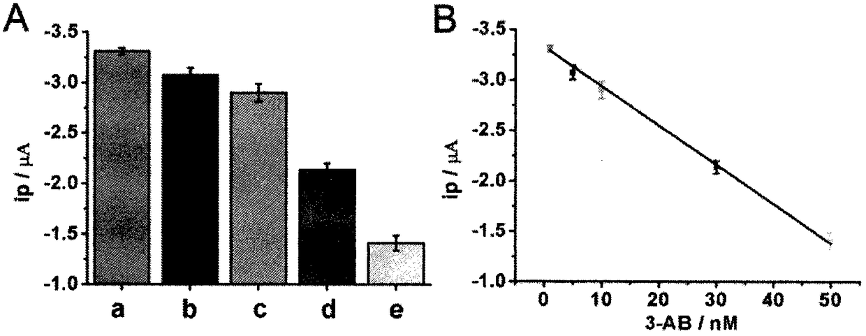 A detection method for polyadenosine diphosphate-ribose polymerase