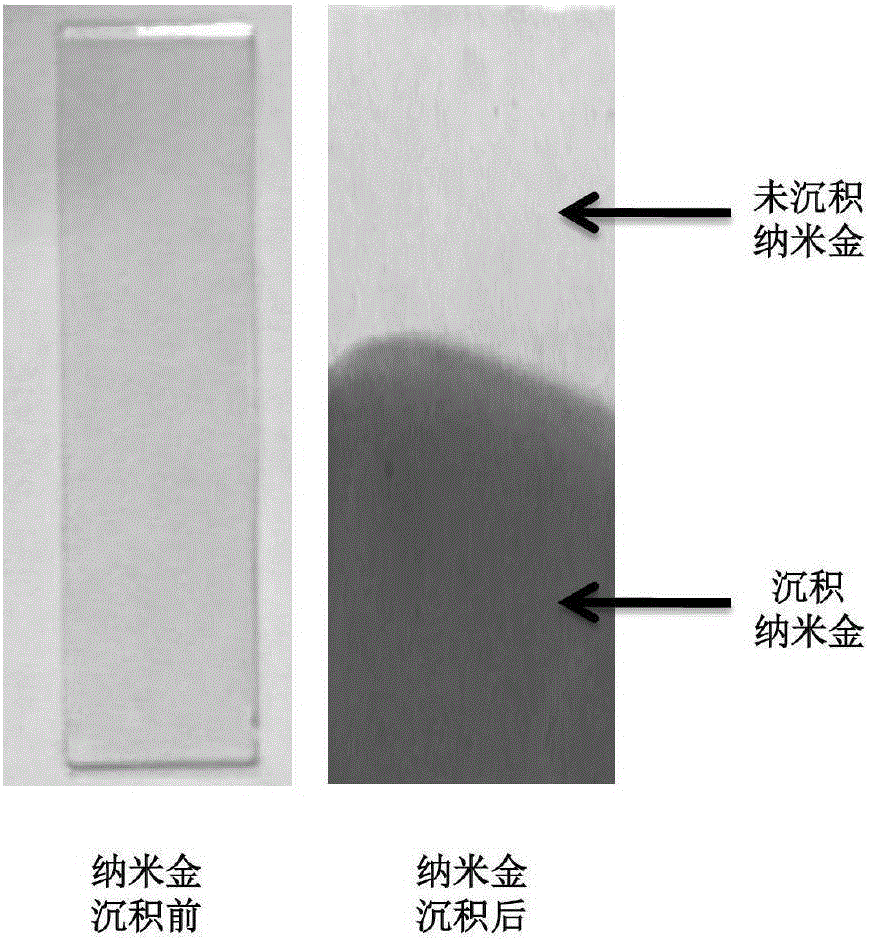 Method for depositing nanogold in microfluidic pore passage