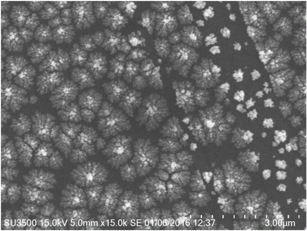 Method for depositing nanogold in microfluidic pore passage