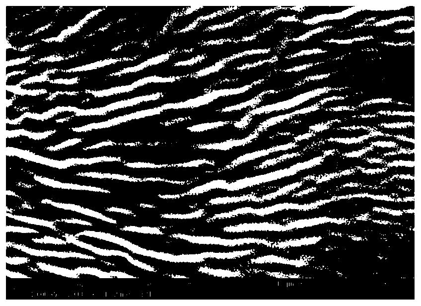 Production method of near-infrared photo-responsive sterilization-deadhesion wrinkle surface