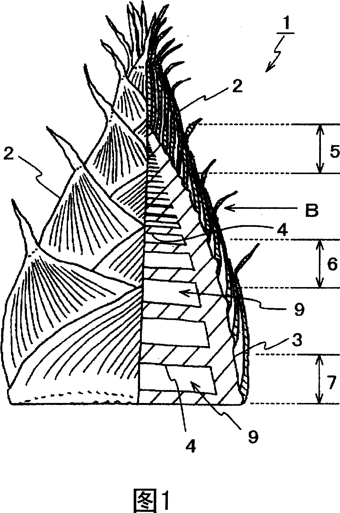 Method for producing water-boiled bamboo shoot having outer skin