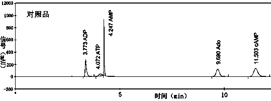 Separation and identification method of cAMP synthesis reaction system components and application thereof