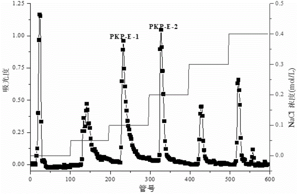 Single polysaccharide component PKP-E-2-2 of pinecone of pinus koraiensis and preparation method of single polysaccharide component PKP-E-2-2