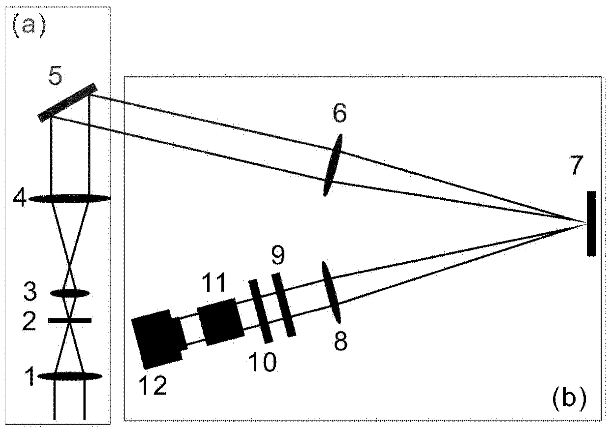 Holographic microscopic imaging device