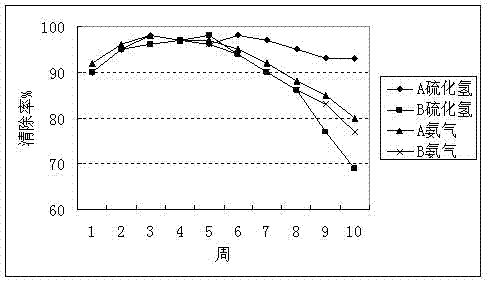 Deodorization composite biological stuffing as well as preparation method and application of the same