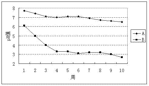 Deodorization composite biological stuffing as well as preparation method and application of the same