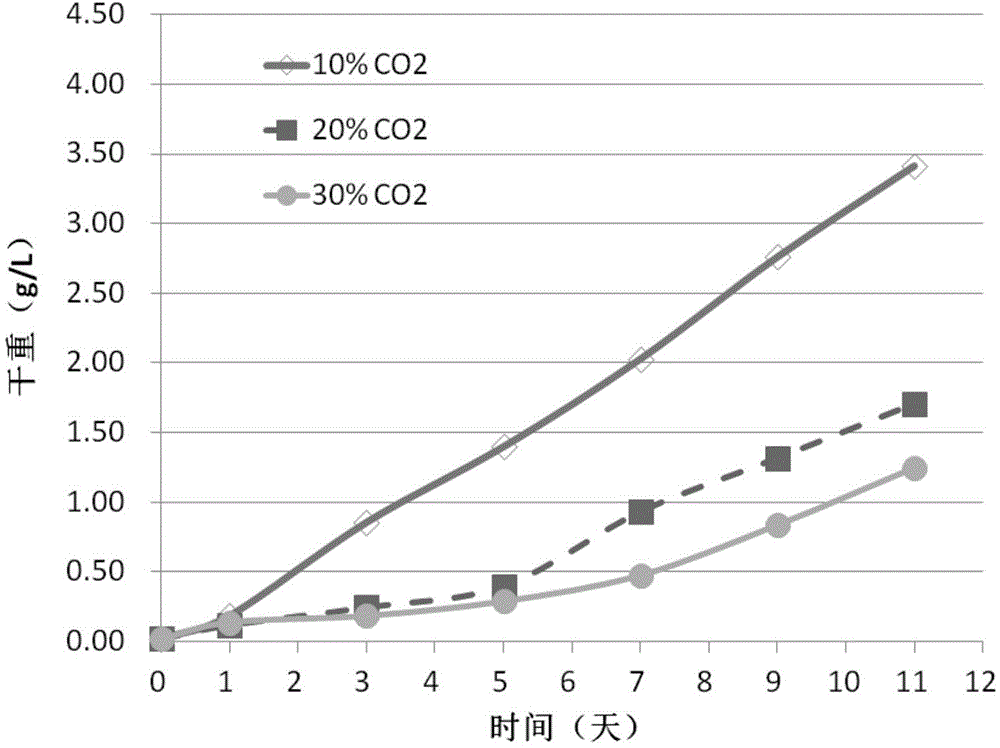Breeding method of high-concentration CO2-tolerant microalgae species