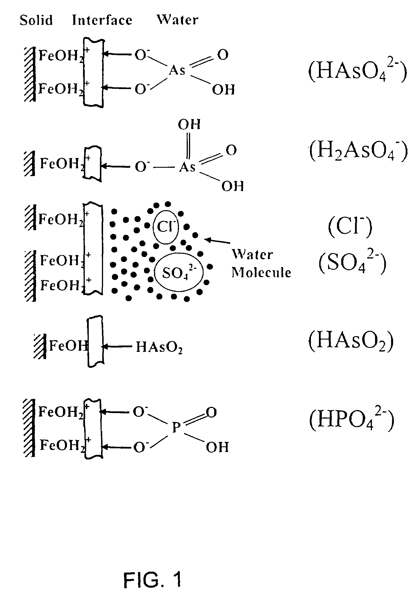 Hybrid anion exchanger for selective removal of contaminating ligands from fluids and method of manufacture thereof