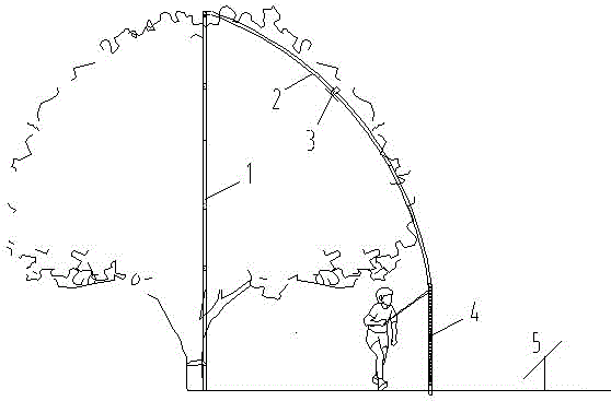 Osmanthus tree trimming and reshaping machine