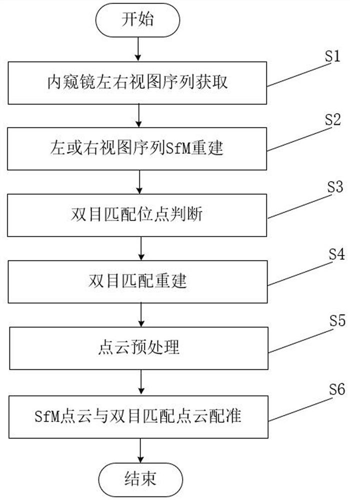 A three-dimensional reconstruction method of endoscopic images combining sfm and binocular matching