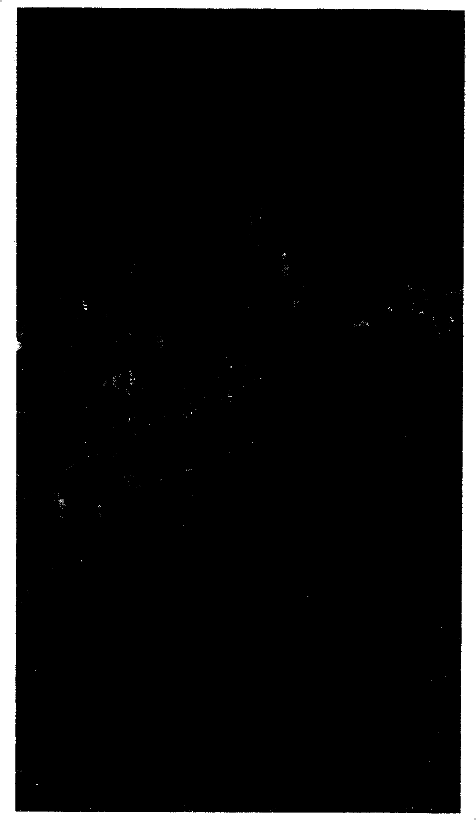 DMC color composition image radiation re-handling method