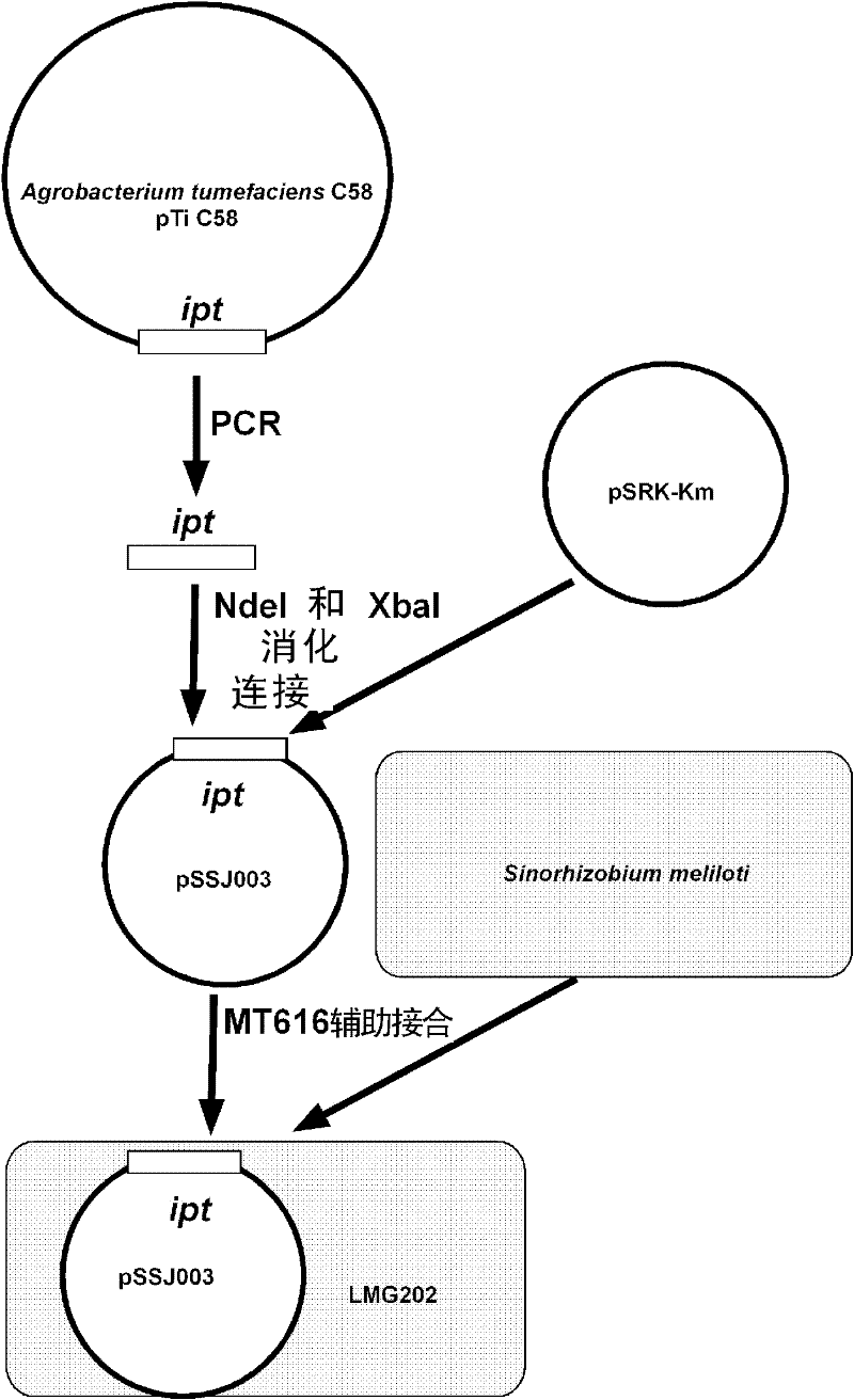 Method for changing characteristics of plants