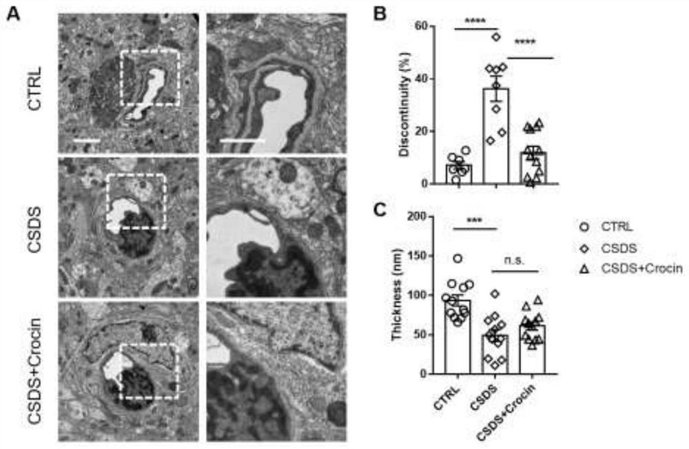 Application of crocin in preparation of medicine for repairing blood-brain barrier injury