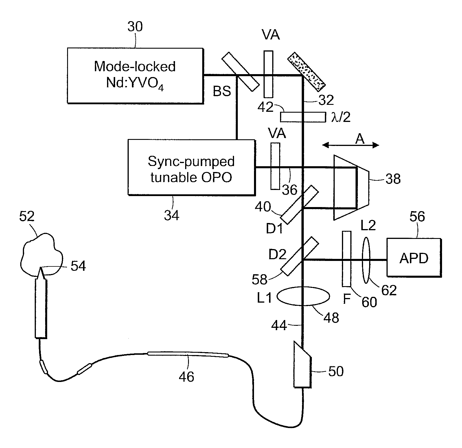 System and method for coherent anti-Stokes Raman scattering endoscopy