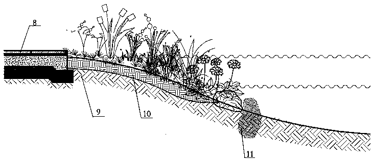 Constructed wetland island water quality purification system and construction method thereof