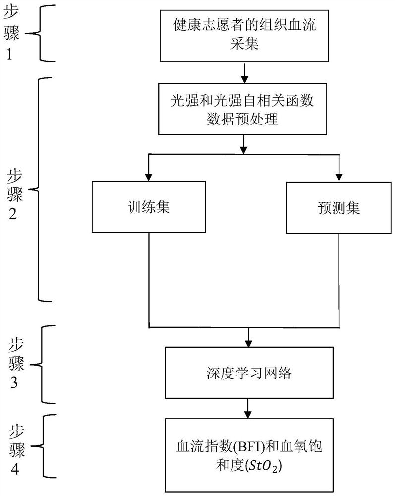 Tissue blood flow and oxyhemoglobin saturation measuring method based on deep learning diffusion correlation spectrum