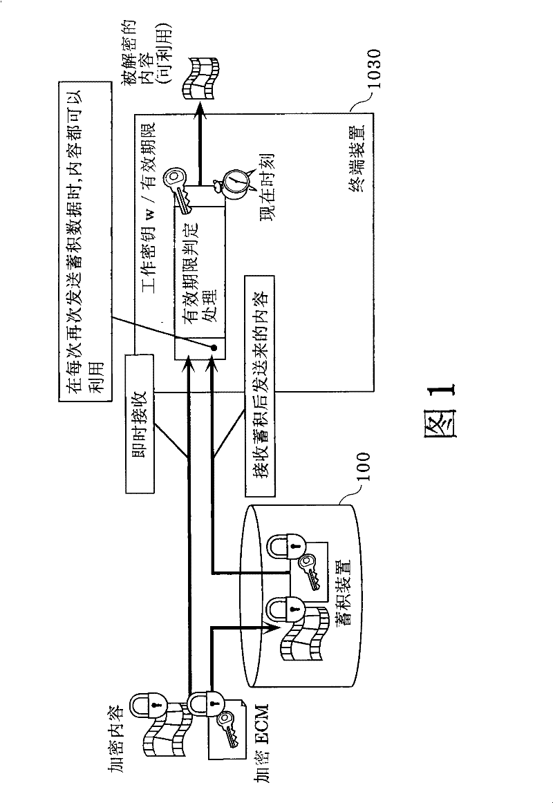 Terminal device, server device, and content distribution system