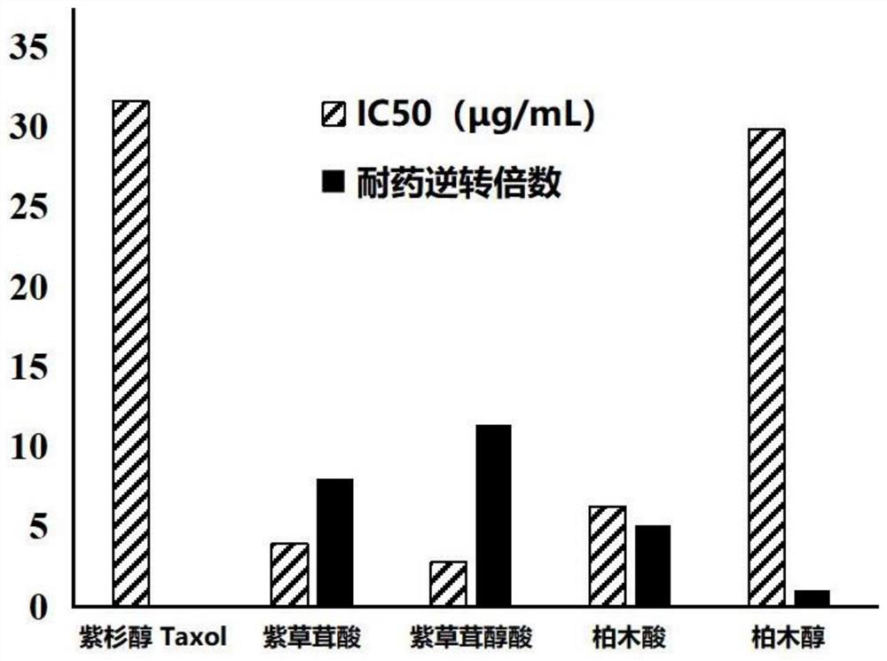 A kind of cedaronic acid is used for reversing the application of ovarian cancer to paclitaxel drug resistance