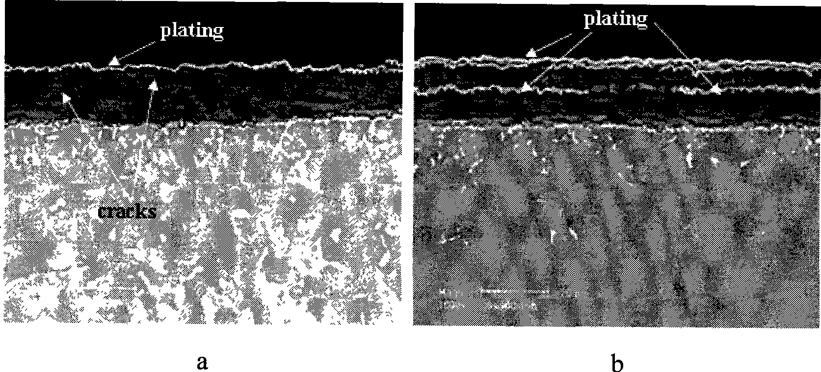 Processing fluid for preparing corrosion product film / layer cross section metallographic sample and processing method thereof