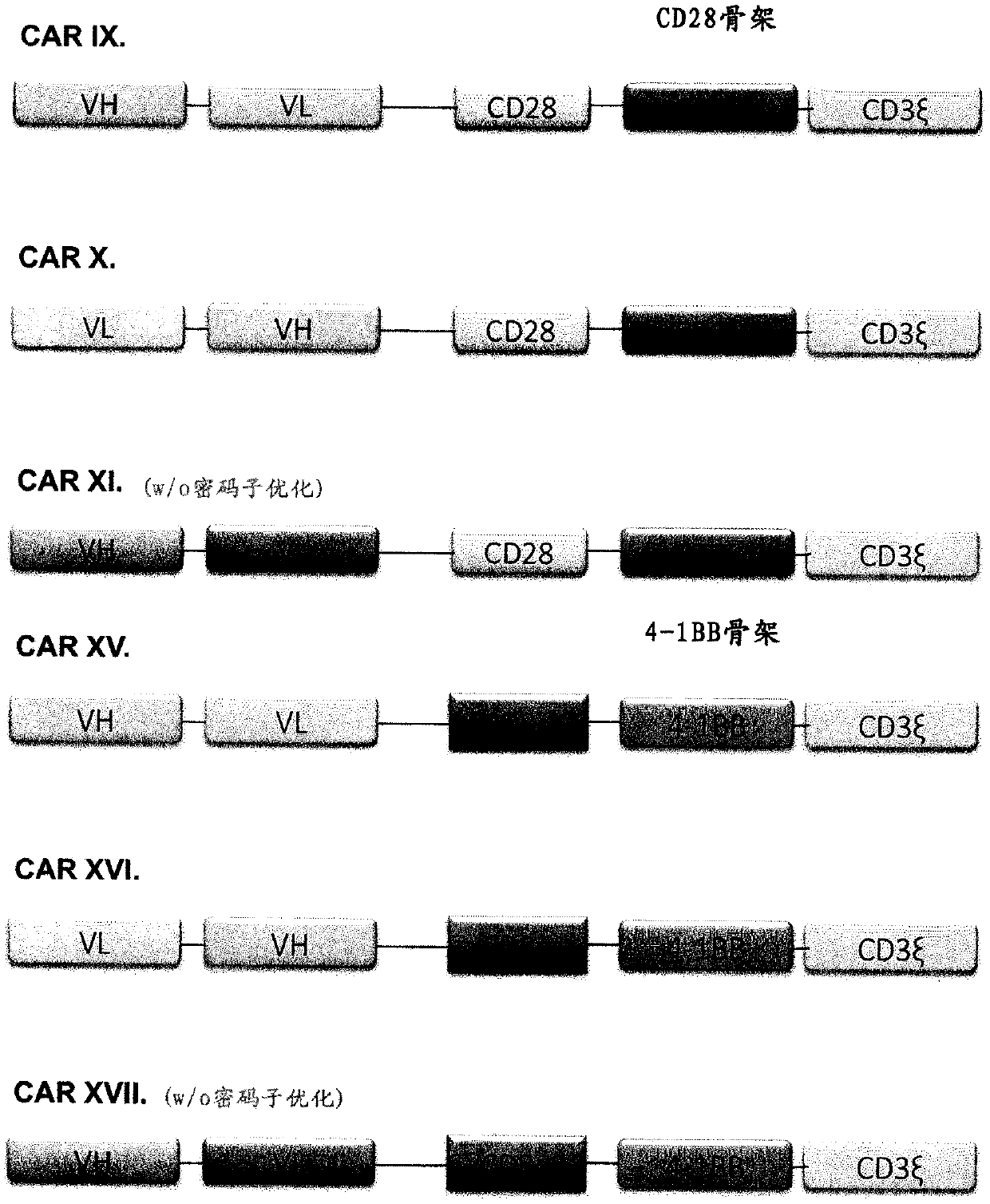 Chimeric antigen receptor and car-t cells that bind bcma