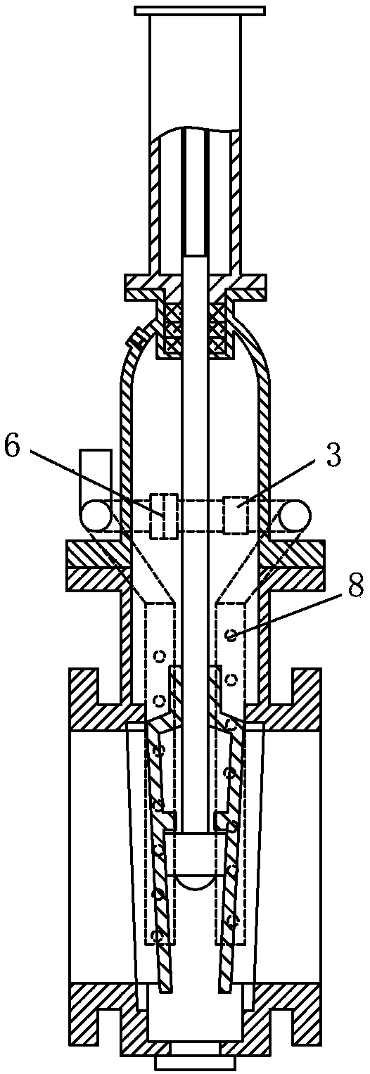 Anti-coking device and gas delivery pipeline for large gate valve