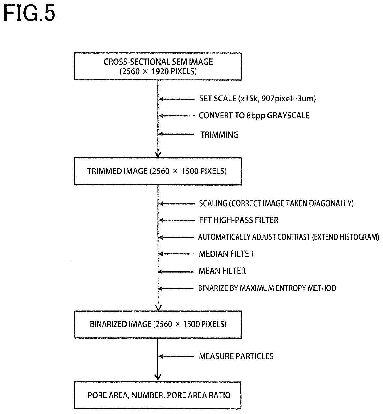 Catalyst layer, membrane electrode assembly, and polyelectrolyte fuel cell