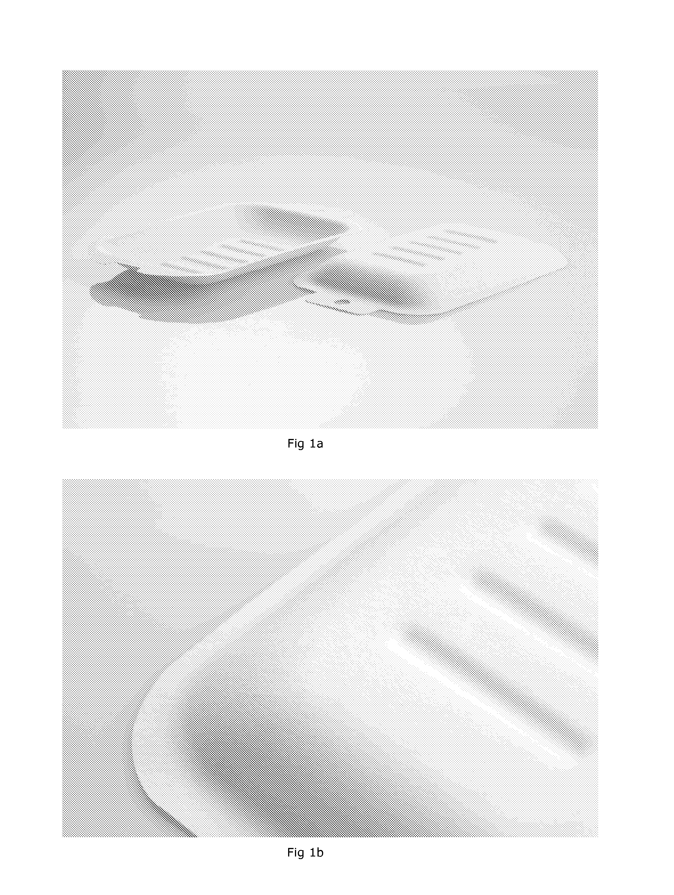 Moldable fibrous product and method of producing the same