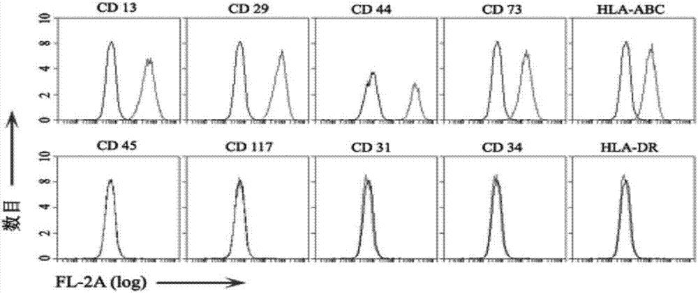 Human umbilical cord mesenchymal stem cell membrane granules, preparation and applications thereof