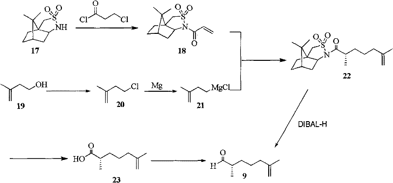 Method for preparing epothilone D and B