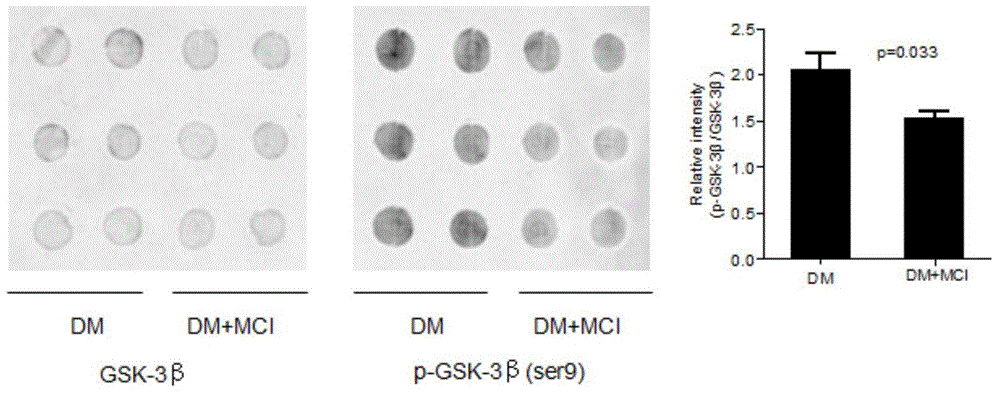 Dot blotting method for detecting activity of GSK-3beta proteins of human blood platelets
