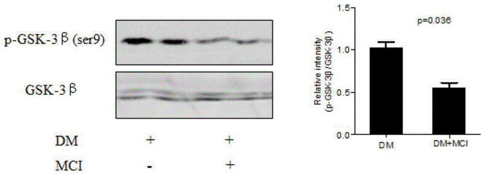 Dot blotting method for detecting activity of GSK-3beta proteins of human blood platelets