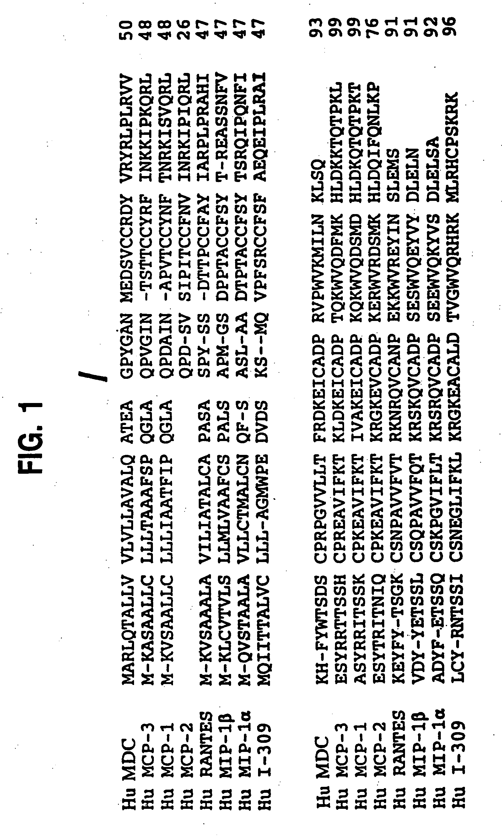 Macrophage derived chemokine (MDC), MDC analogs, MDC inhibitor substances and uses thereof