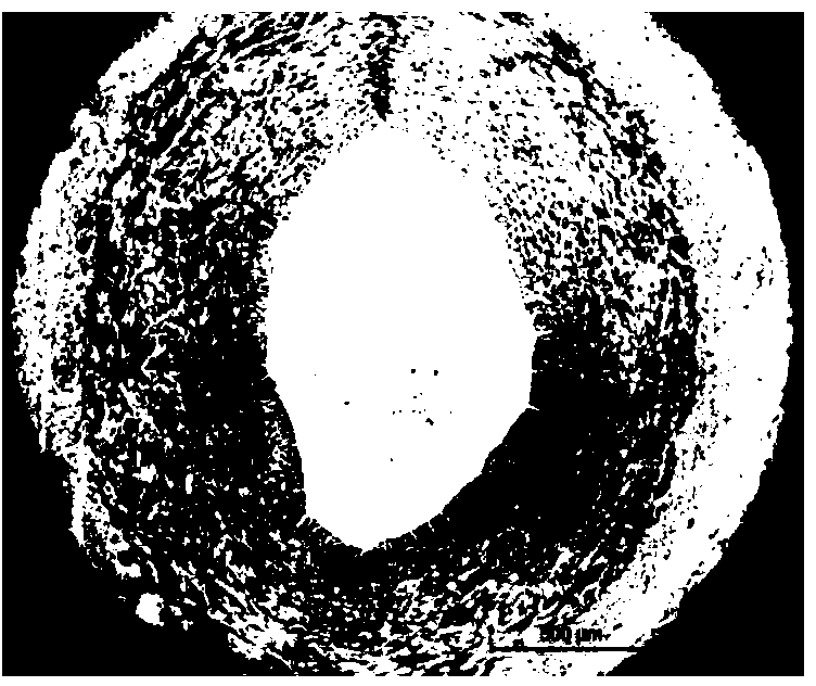 Medicinal coating balloon catheter