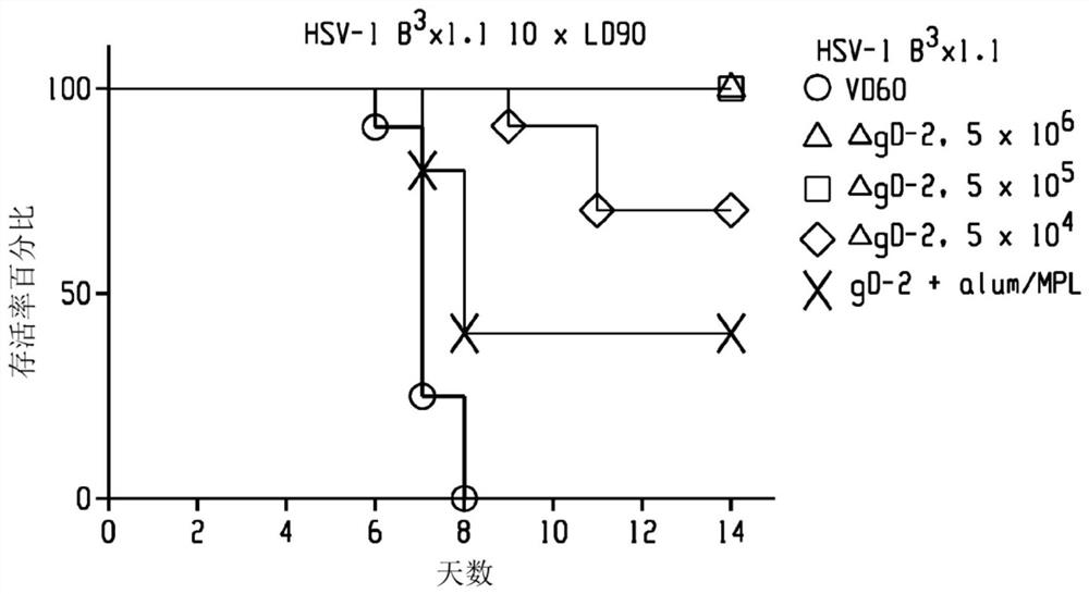 Method of enhancing antibody-dependent cell-mediated cytotoxicity (ADCC)