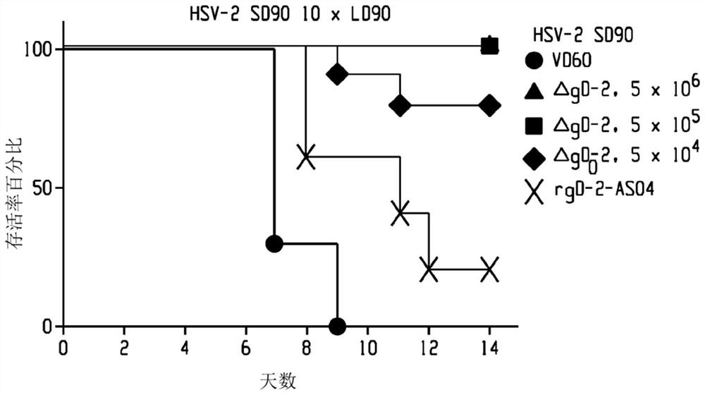 Method of enhancing antibody-dependent cell-mediated cytotoxicity (ADCC)