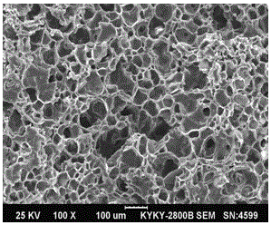 A kind of lightweight epoxy resin microcellular foam material and preparation method thereof