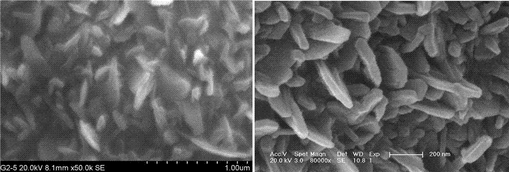 A kind of preparation method of single crystal ain nano-cone and nano-sheet