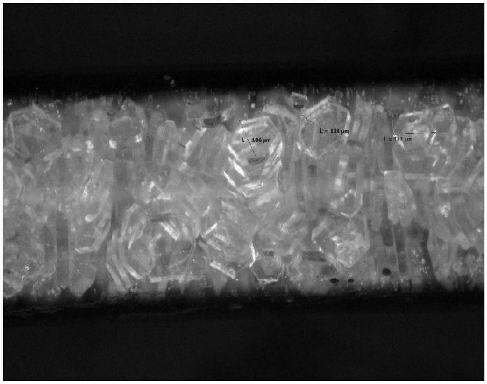 Dehydration crystallization method of vinylene carbonate