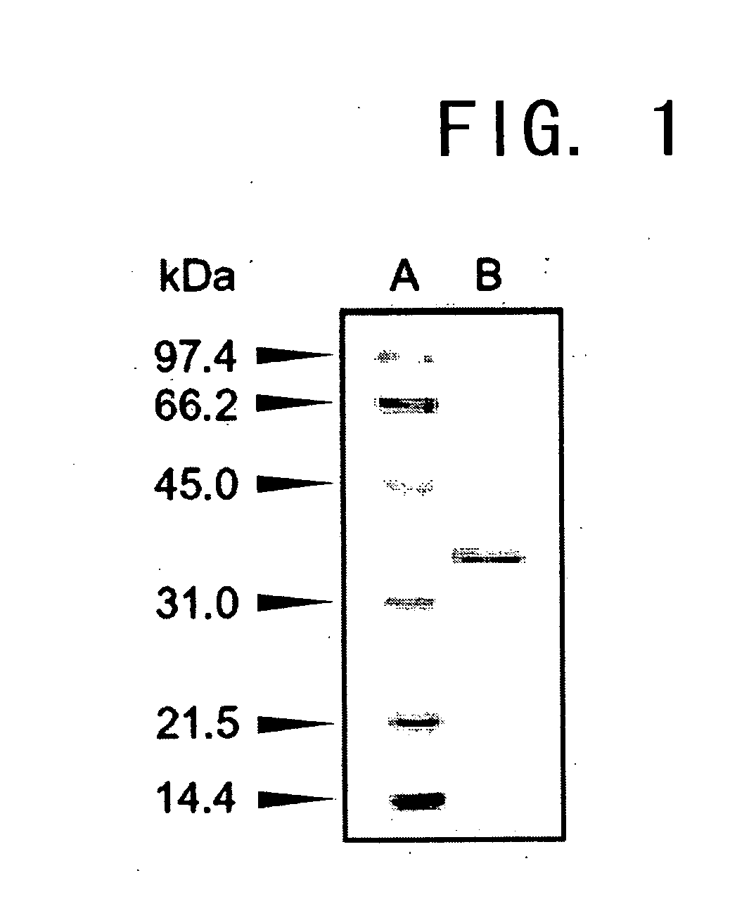 Methods for producing optically active alpha-hydroxy amides