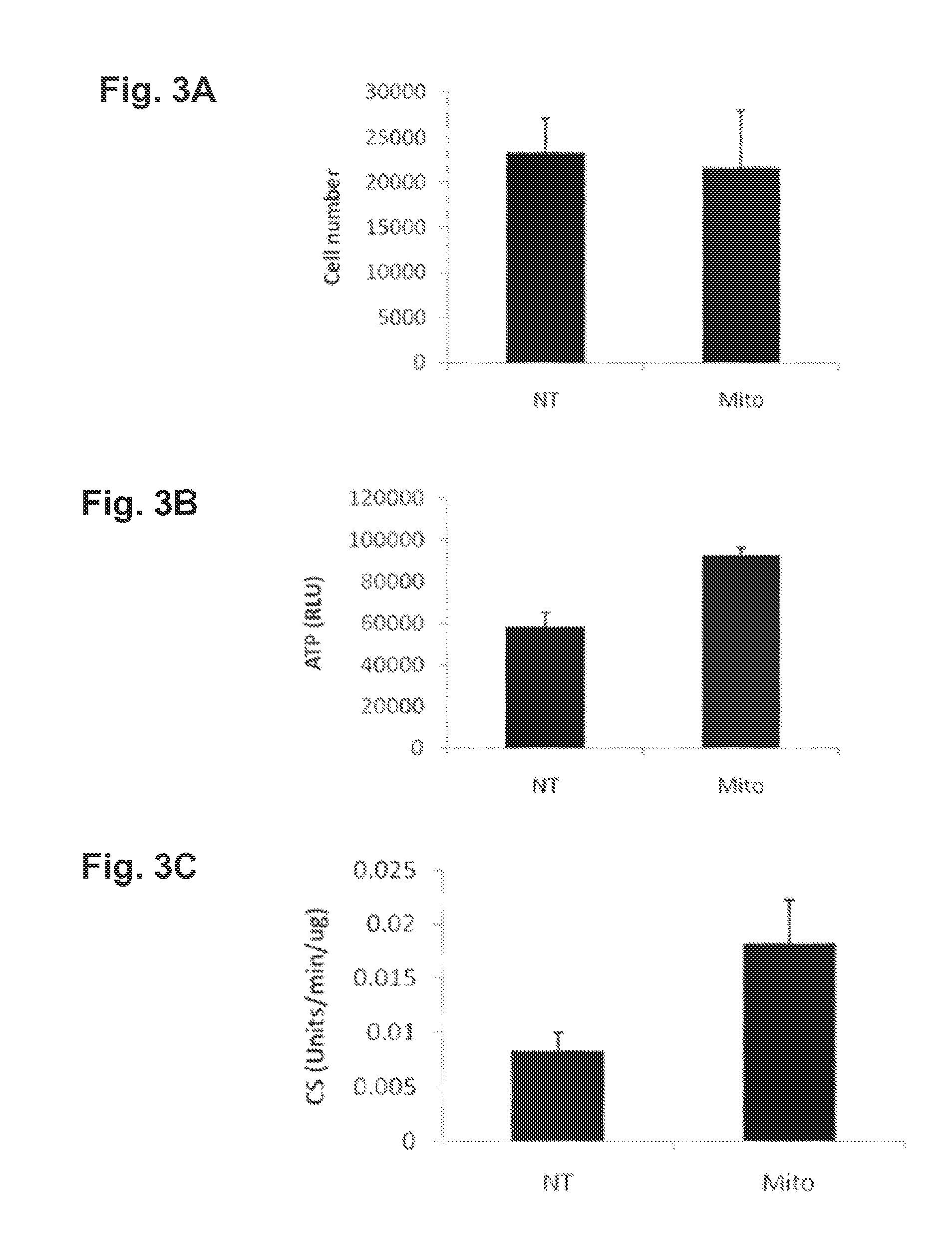 Compositions Of Functional Mitochondria And Uses Thereof