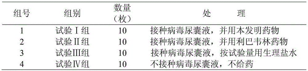 Traditional Chinese medicine composition for treating livestock and poultry viral infectious diseases, preparation method and application thereof