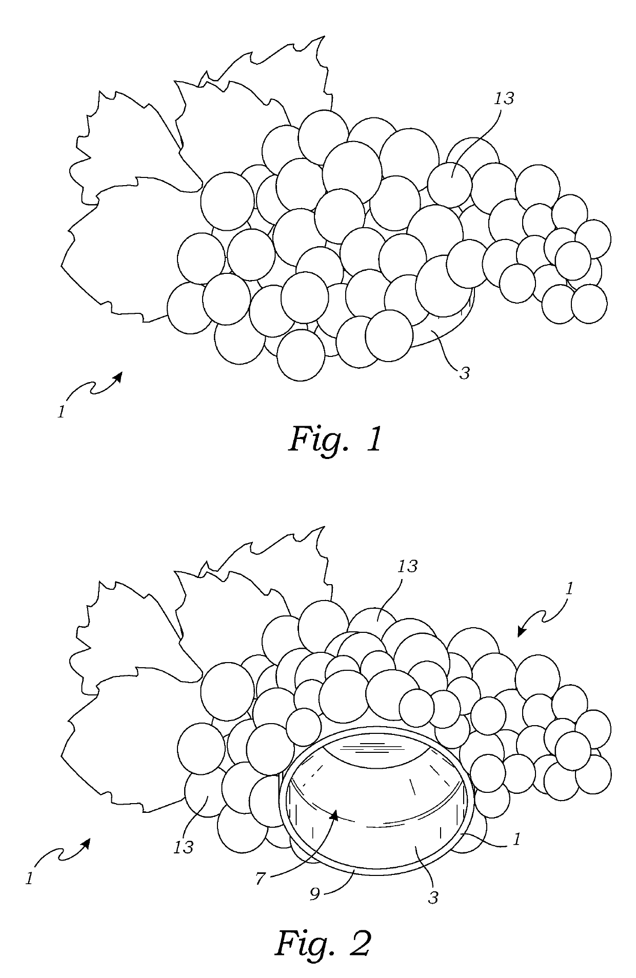 Vacuum wine bottle stopper and cap, and method of use