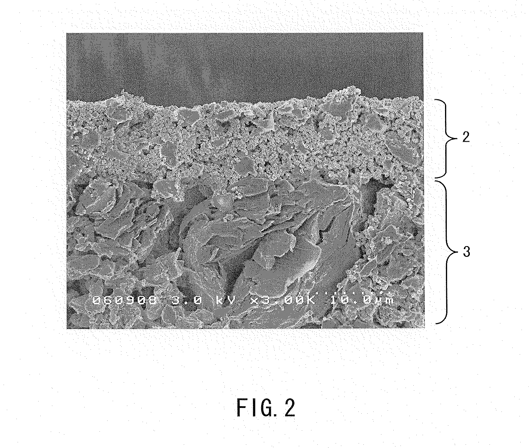 Electrode for nonaqueous secondary battery, nonaqueous secondary battery using the same, and method for producing electrode